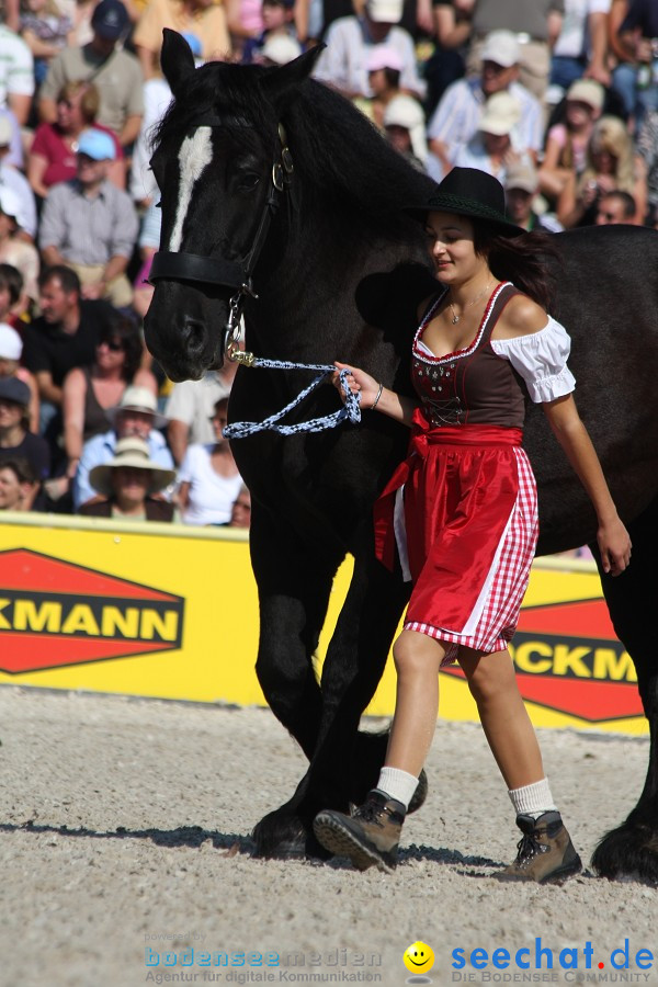 Hengstparade-Marbach-2011-011011-Bodensee-Community-SEECHAT_DE-IMG_0680.JPG