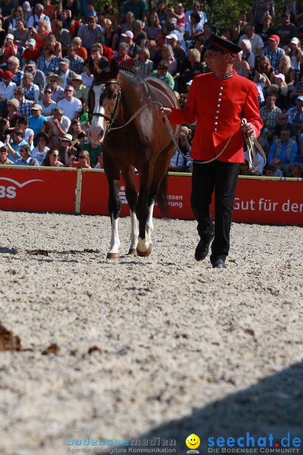 Hengstparade-Marbach-2011-011011-Bodensee-Community-SEECHAT_DE-IMG_0684.JPG