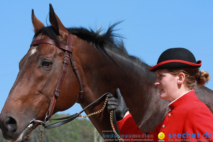 Hengstparade-Marbach-2011-011011-Bodensee-Community-SEECHAT_DE-IMG_0689.JPG