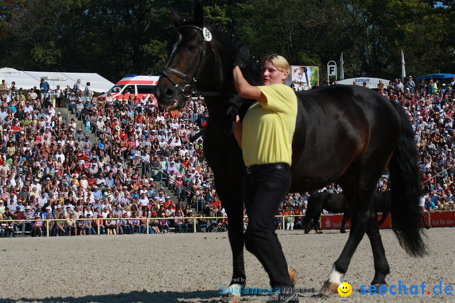 Hengstparade-Marbach-2011-011011-Bodensee-Community-SEECHAT_DE-IMG_0697.JPG