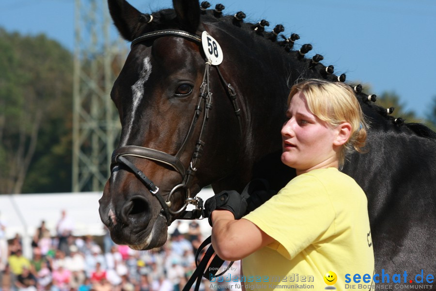 Hengstparade-Marbach-2011-011011-Bodensee-Community-SEECHAT_DE-IMG_0699.JPG