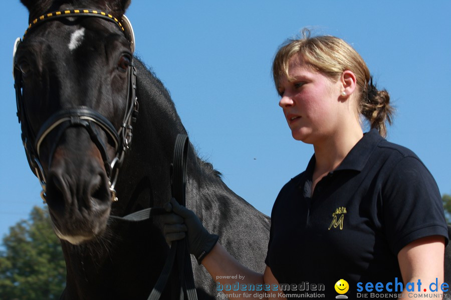 Hengstparade-Marbach-2011-011011-Bodensee-Community-SEECHAT_DE-IMG_0701.JPG