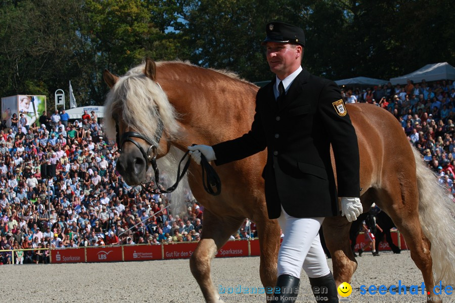 Hengstparade-Marbach-2011-011011-Bodensee-Community-SEECHAT_DE-IMG_0702.JPG