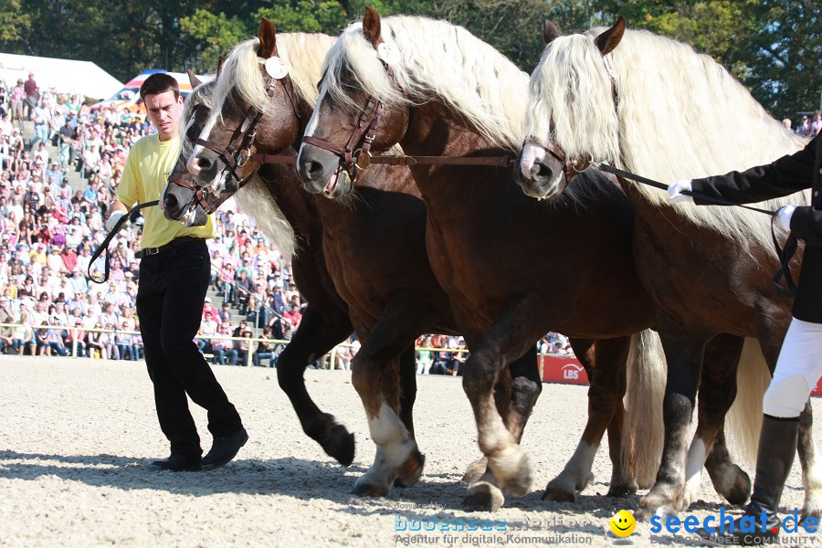 Hengstparade-Marbach-2011-011011-Bodensee-Community-SEECHAT_DE-IMG_0703.JPG