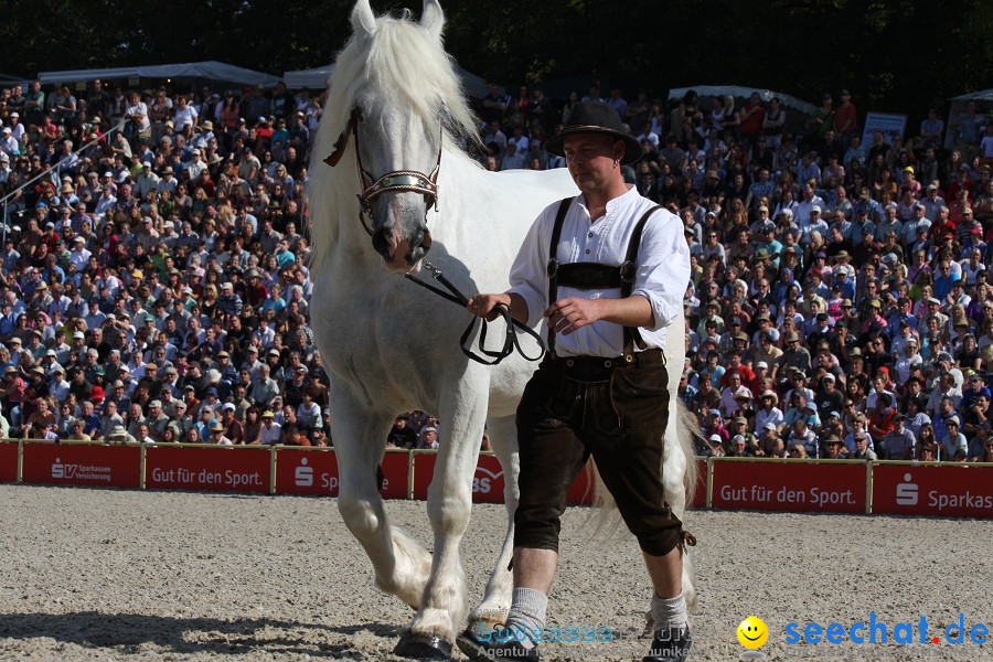 Hengstparade-Marbach-2011-011011-Bodensee-Community-SEECHAT_DE-IMG_0707.JPG