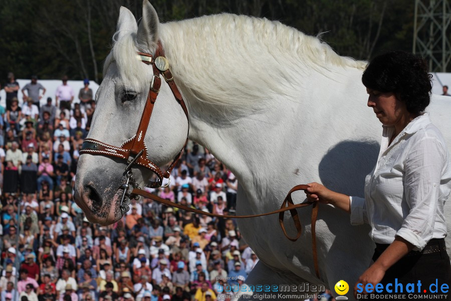 Hengstparade-Marbach-2011-011011-Bodensee-Community-SEECHAT_DE-IMG_0712.JPG