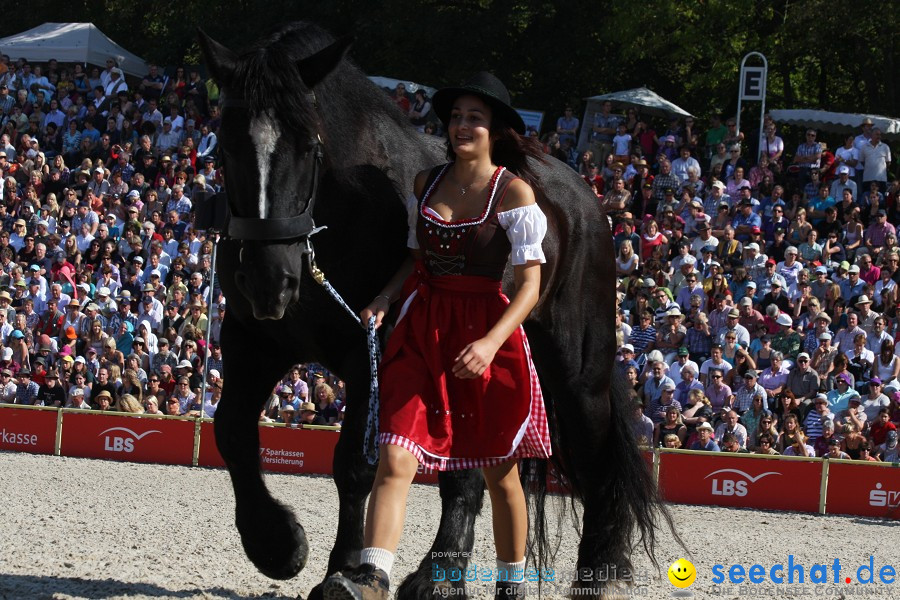 Hengstparade-Marbach-2011-011011-Bodensee-Community-SEECHAT_DE-IMG_0717.JPG