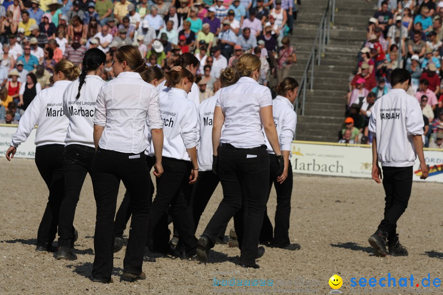 Hengstparade-Marbach-2011-011011-Bodensee-Community-SEECHAT_DE-IMG_0721.JPG