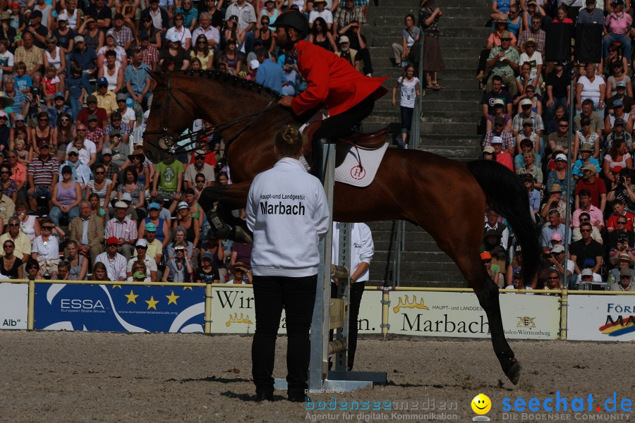 Hengstparade-Marbach-2011-011011-Bodensee-Community-SEECHAT_DE-IMG_0759.JPG