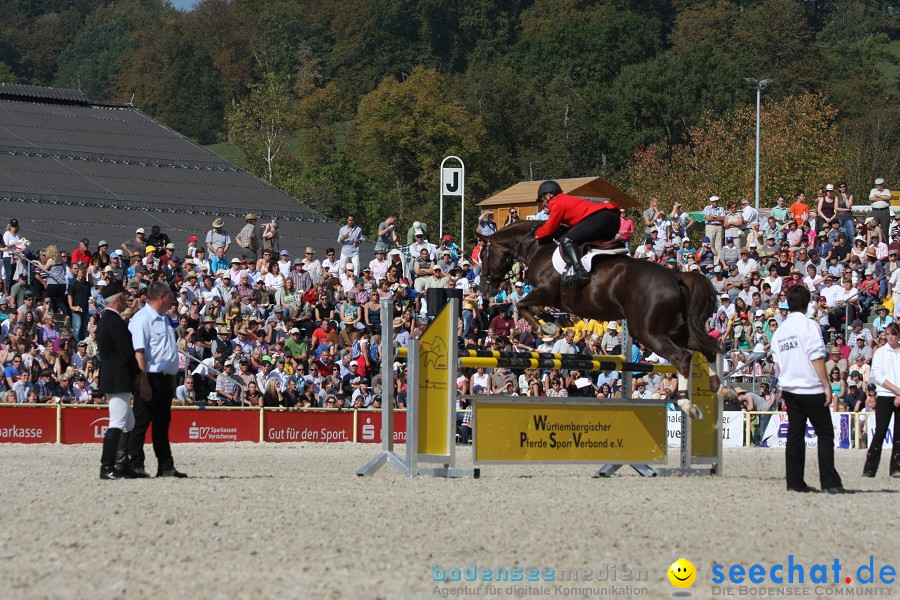 Hengstparade-Marbach-2011-011011-Bodensee-Community-SEECHAT_DE-IMG_0797.JPG