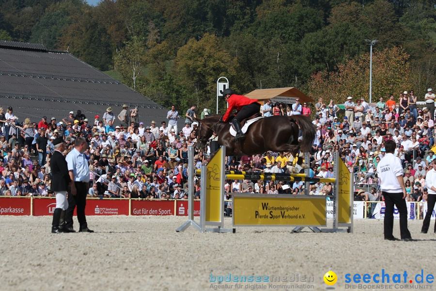 Hengstparade-Marbach-2011-011011-Bodensee-Community-SEECHAT_DE-IMG_0798.JPG