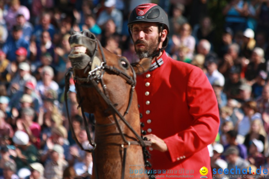 Hengstparade-Marbach-2011-011011-Bodensee-Community-SEECHAT_DE-IMG_0802.JPG