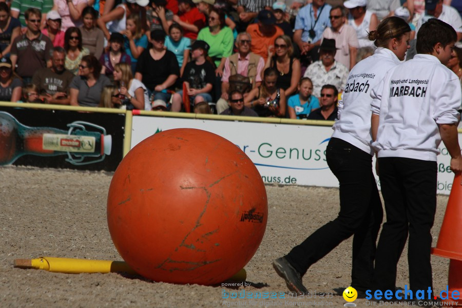 Hengstparade-Marbach-2011-011011-Bodensee-Community-SEECHAT_DE-IMG_0810.JPG