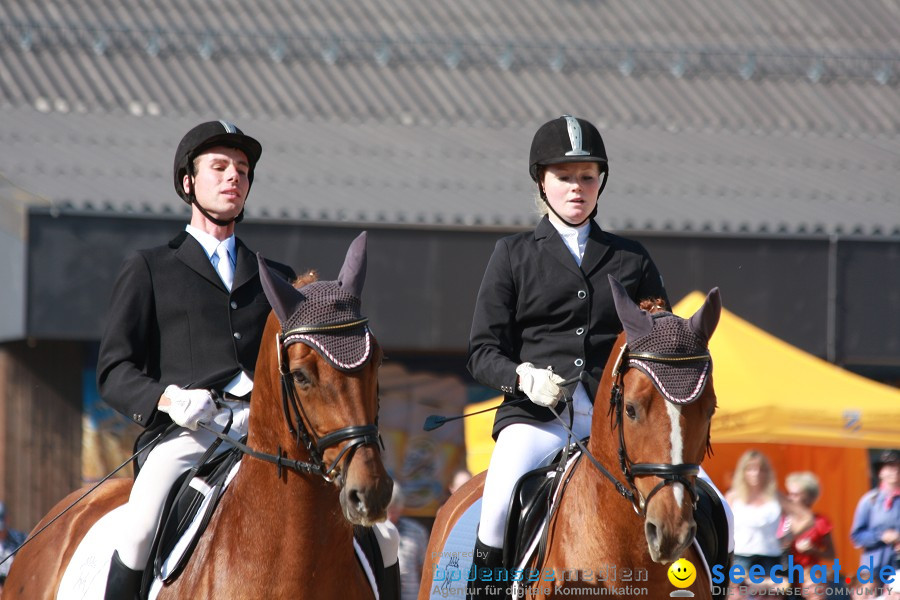 Hengstparade-Marbach-2011-011011-Bodensee-Community-SEECHAT_DE-IMG_0813.JPG