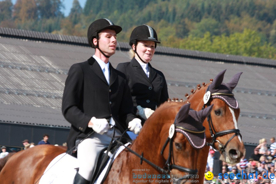 Hengstparade-Marbach-2011-011011-Bodensee-Community-SEECHAT_DE-IMG_0815.JPG