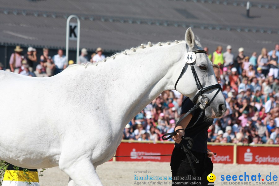 Hengstparade-Marbach-2011-011011-Bodensee-Community-SEECHAT_DE-IMG_0816.JPG