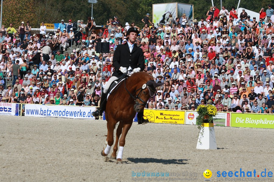 Hengstparade-Marbach-2011-011011-Bodensee-Community-SEECHAT_DE-IMG_0817.JPG