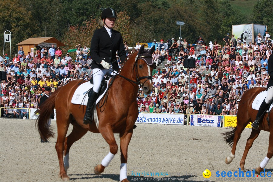 Hengstparade-Marbach-2011-011011-Bodensee-Community-SEECHAT_DE-IMG_0818.JPG