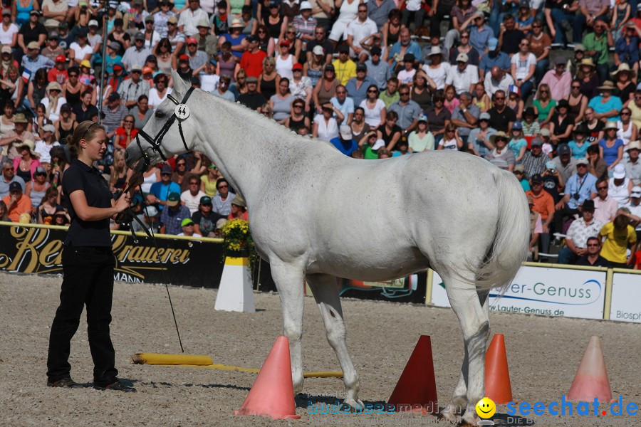 Hengstparade-Marbach-2011-011011-Bodensee-Community-SEECHAT_DE-IMG_0819.JPG