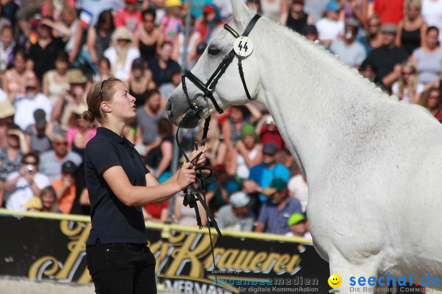 Hengstparade-Marbach-2011-011011-Bodensee-Community-SEECHAT_DE-IMG_0820.JPG