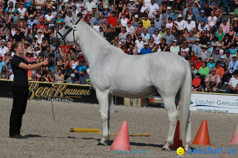 Hengstparade-Marbach-2011-011011-Bodensee-Community-SEECHAT_DE-IMG_0822.JPG