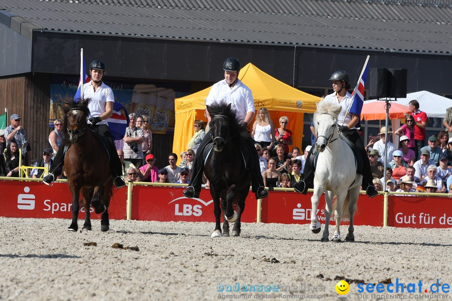 Hengstparade-Marbach-2011-011011-Bodensee-Community-SEECHAT_DE-IMG_0830.JPG