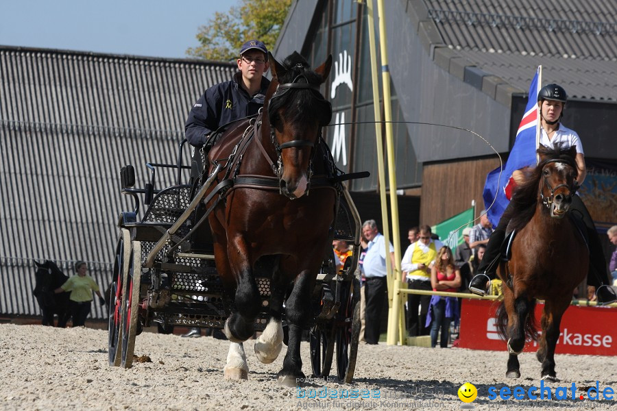 Hengstparade-Marbach-2011-011011-Bodensee-Community-SEECHAT_DE-IMG_0831.JPG