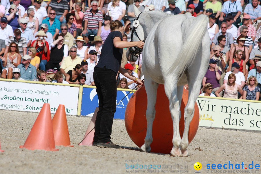 Hengstparade-Marbach-2011-011011-Bodensee-Community-SEECHAT_DE-IMG_0834.JPG