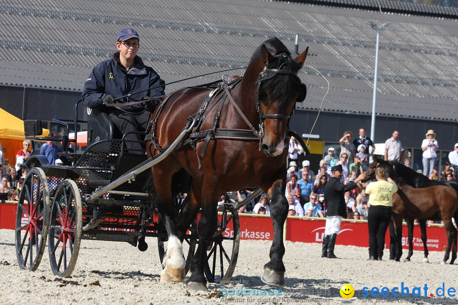 Hengstparade-Marbach-2011-011011-Bodensee-Community-SEECHAT_DE-IMG_0843.JPG