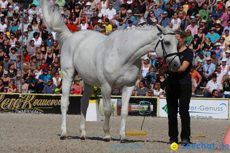 Hengstparade-Marbach-2011-011011-Bodensee-Community-SEECHAT_DE-IMG_0850.JPG