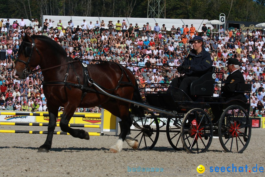 Hengstparade-Marbach-2011-011011-Bodensee-Community-SEECHAT_DE-IMG_0863.JPG