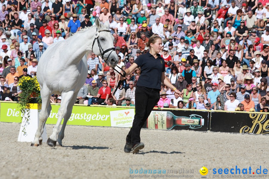 Hengstparade-Marbach-2011-011011-Bodensee-Community-SEECHAT_DE-IMG_0872.JPG