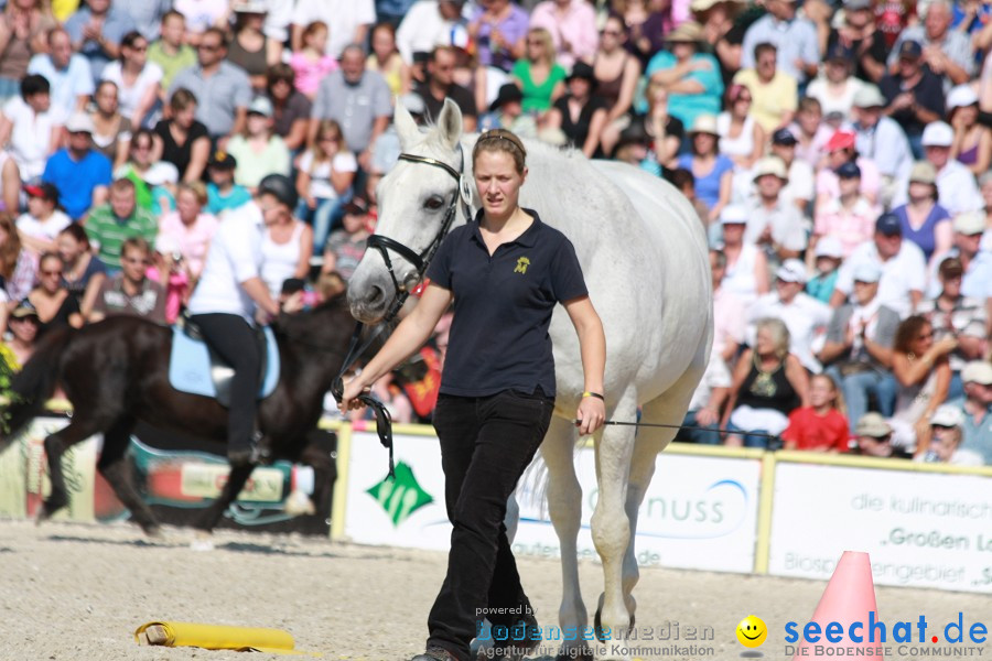 Hengstparade-Marbach-2011-011011-Bodensee-Community-SEECHAT_DE-IMG_0878.JPG