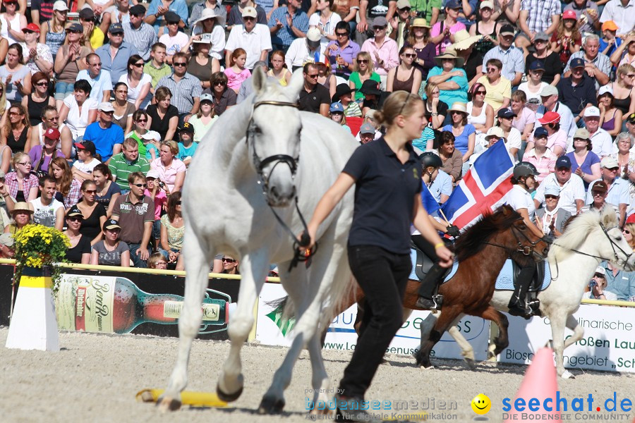 Hengstparade-Marbach-2011-011011-Bodensee-Community-SEECHAT_DE-IMG_0879.JPG