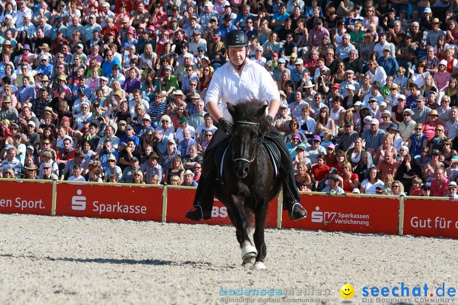 Hengstparade-Marbach-2011-011011-Bodensee-Community-SEECHAT_DE-IMG_0887.JPG