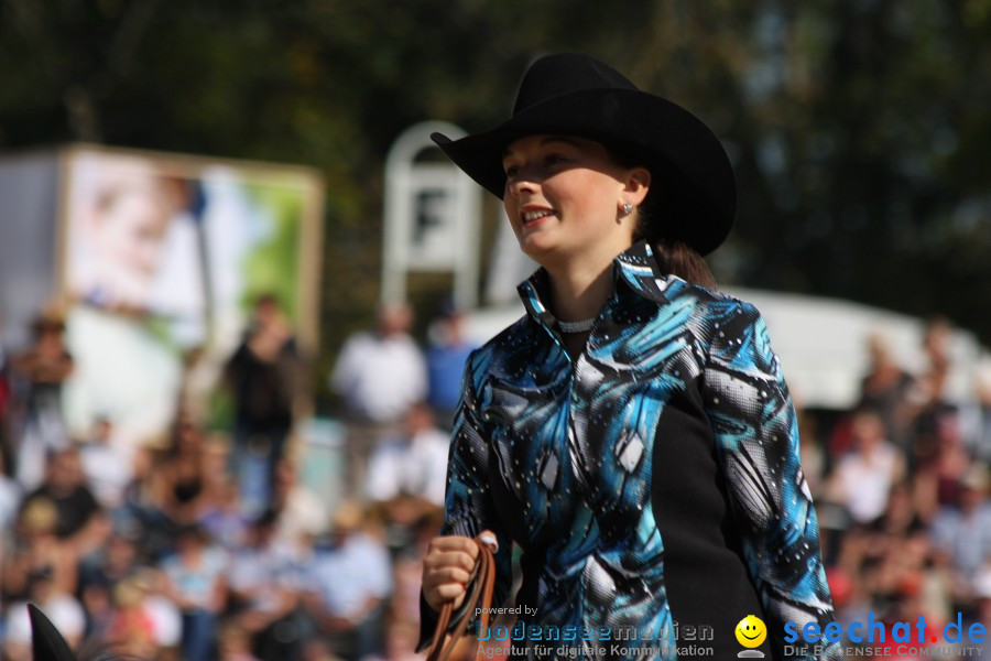 Hengstparade-Marbach-2011-011011-Bodensee-Community-SEECHAT_DE-IMG_0897.JPG