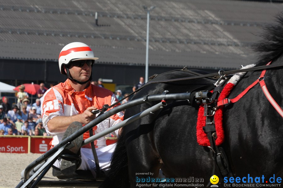 Hengstparade-Marbach-2011-011011-Bodensee-Community-SEECHAT_DE-IMG_0899.JPG