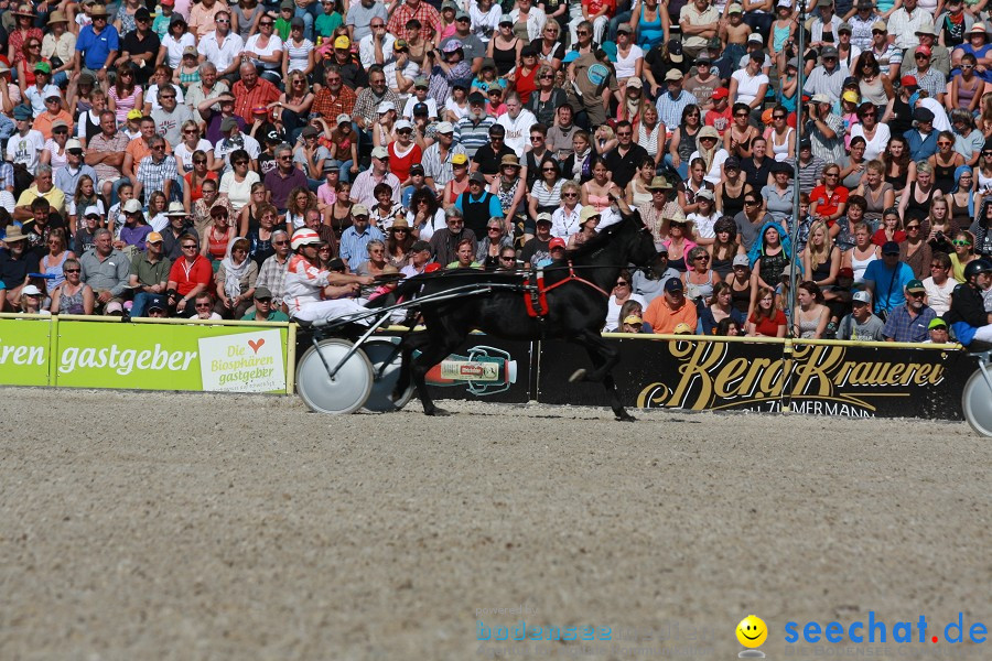 Hengstparade-Marbach-2011-011011-Bodensee-Community-SEECHAT_DE-IMG_0917.JPG