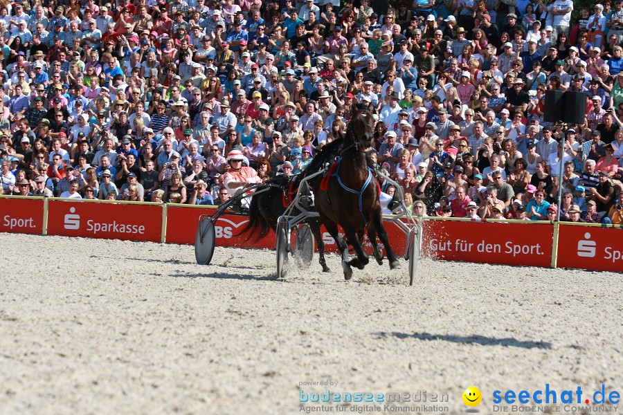 Hengstparade-Marbach-2011-011011-Bodensee-Community-SEECHAT_DE-IMG_0924.JPG