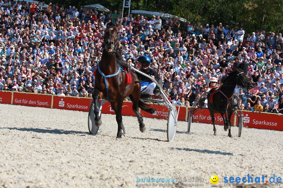 Hengstparade-Marbach-2011-011011-Bodensee-Community-SEECHAT_DE-IMG_0926.JPG