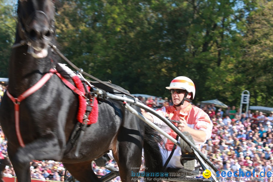 Hengstparade-Marbach-2011-011011-Bodensee-Community-SEECHAT_DE-IMG_0929.JPG