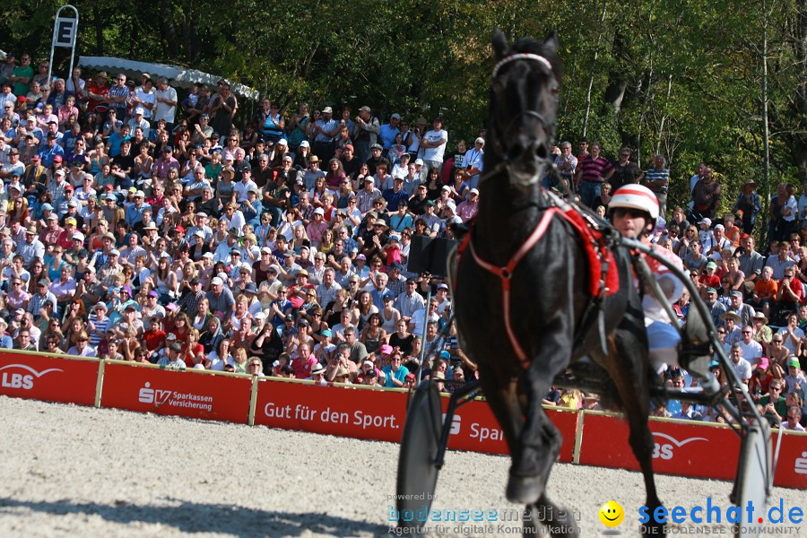 Hengstparade-Marbach-2011-011011-Bodensee-Community-SEECHAT_DE-IMG_0930.JPG