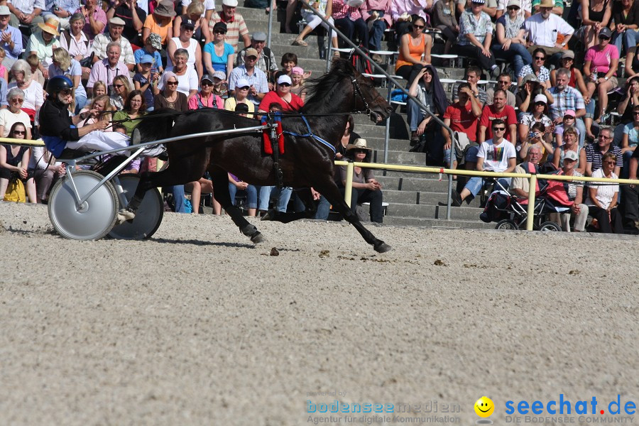 Hengstparade-Marbach-2011-011011-Bodensee-Community-SEECHAT_DE-IMG_0941.JPG