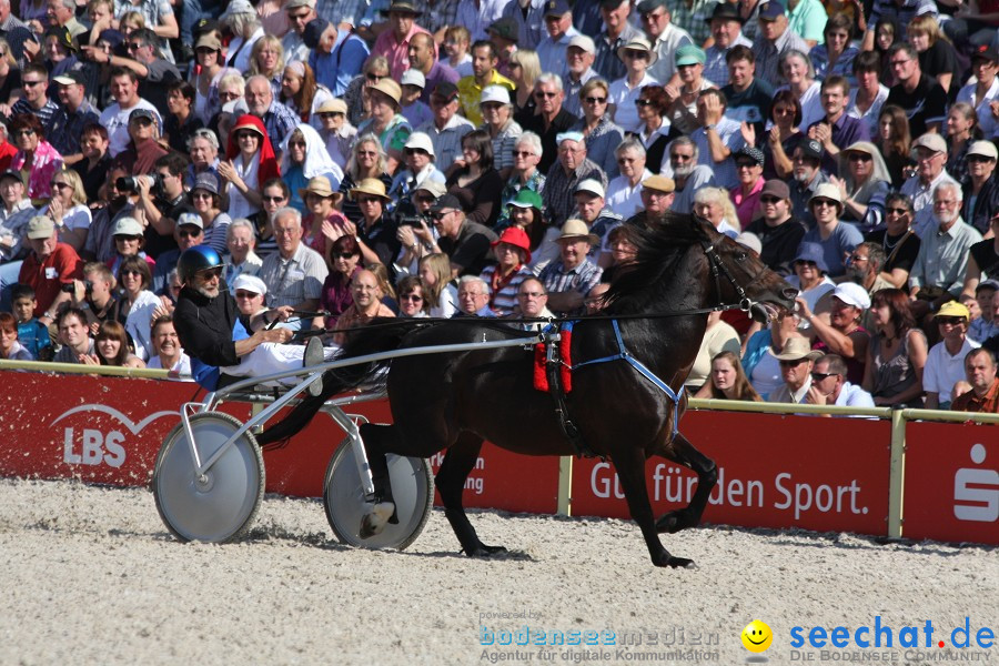 Hengstparade-Marbach-2011-011011-Bodensee-Community-SEECHAT_DE-IMG_0942.JPG