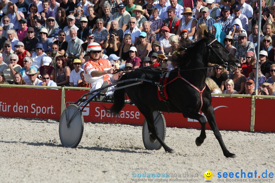 Hengstparade-Marbach-2011-011011-Bodensee-Community-SEECHAT_DE-IMG_0943.JPG