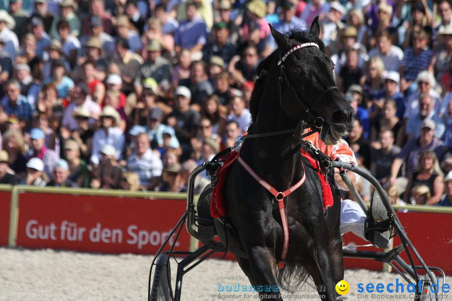 Hengstparade-Marbach-2011-011011-Bodensee-Community-SEECHAT_DE-IMG_0946.JPG