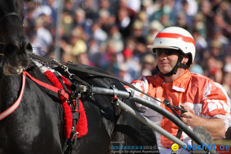 Hengstparade-Marbach-2011-011011-Bodensee-Community-SEECHAT_DE-IMG_0949.JPG