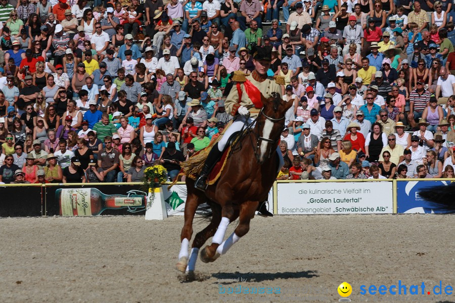 Hengstparade-Marbach-2011-011011-Bodensee-Community-SEECHAT_DE-IMG_0978.JPG