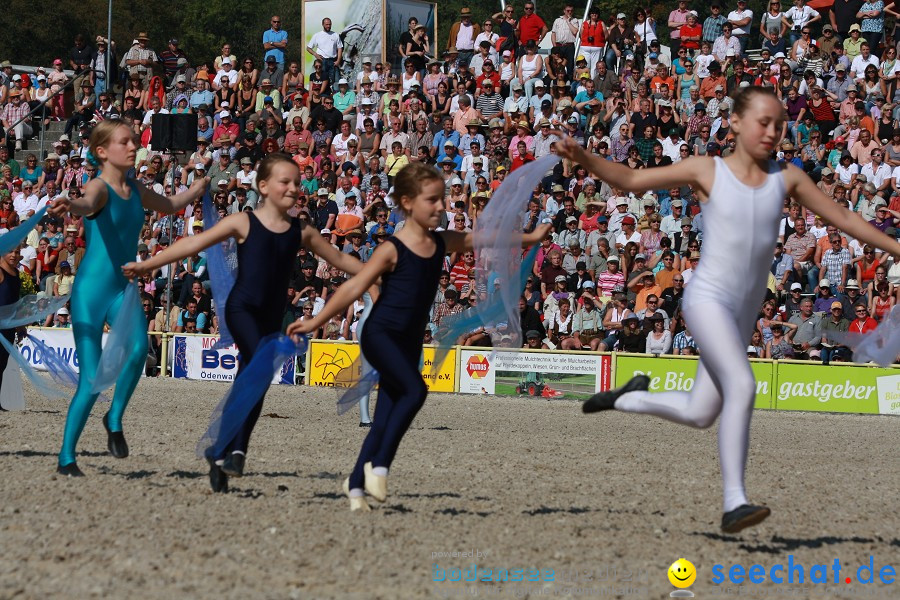 Hengstparade-Marbach-2011-011011-Bodensee-Community-SEECHAT_DE-IMG_1000.JPG