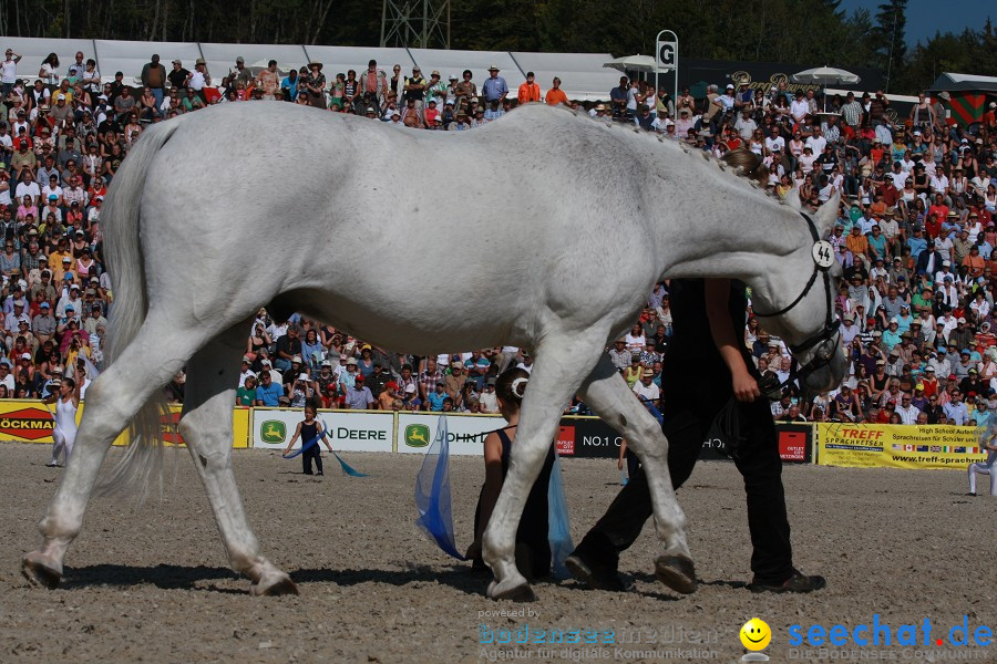 Hengstparade-Marbach-2011-011011-Bodensee-Community-SEECHAT_DE-IMG_1017.JPG